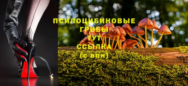 МДПВ Алексеевка