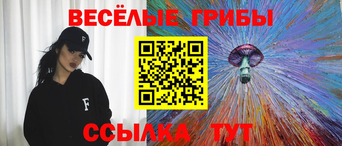 Галлюциногенные грибы Cubensis Йошкар-Ола