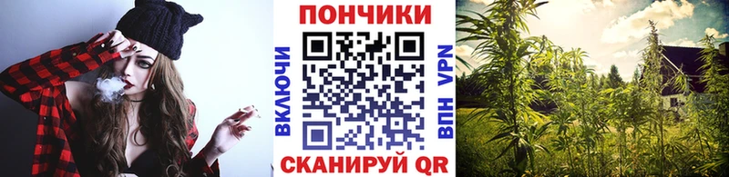 Конопля Ganja Йошкар-Ола